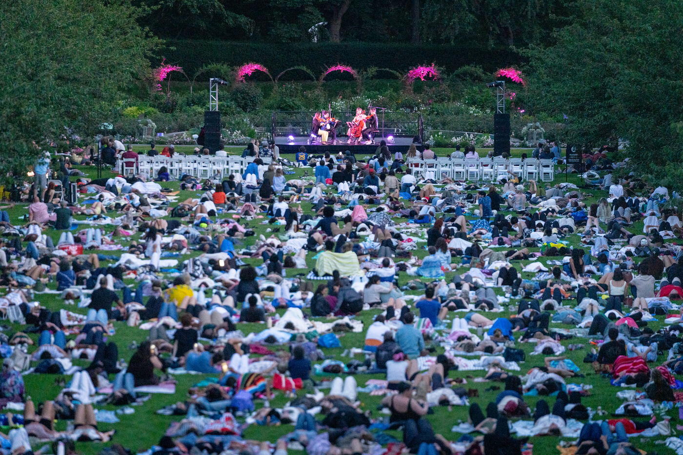 The Attacca Quartet playing on a small lit stage at the far end of the lawn, with a vast field of reclining listeners between the stage and the camera.